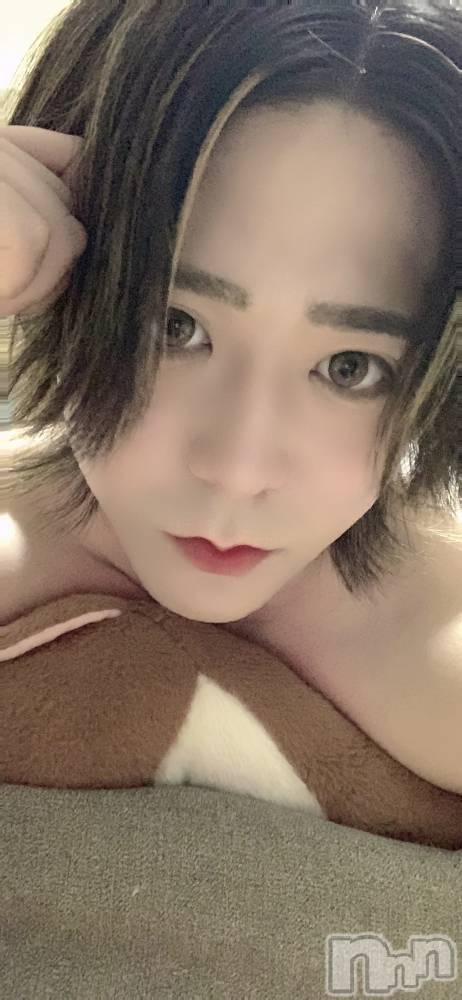 ��Į�ۥ��ȡ��ܡ������С�A151(�����������ݥ���) ������ä�8��22���̥�֥����֤������ʤ�Do�����