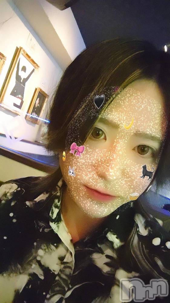 ��Į�ۥ��ȡ��ܡ������С�A151(�����������ݥ���) ������ä�1��9���̥�֥����ֽ���Ƹ���