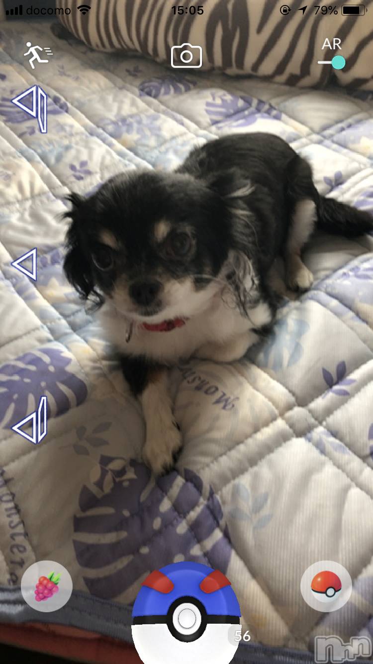 ��Į�ۥ��ȡ��ܡ������С�A151(�����������ݥ���) ��2019ǯ12��9���̥�֥����ֿ����