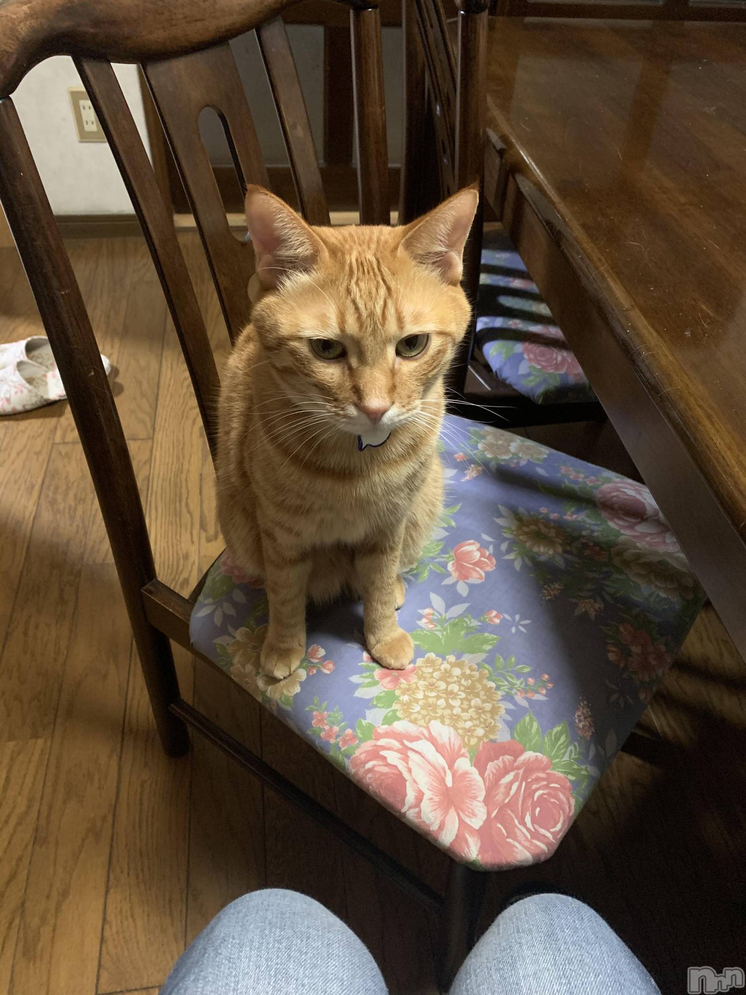 ��Į�ۥ��ȡ��ܡ������С�A151(�����������ݥ���) ��2019ǯ12��23���̥�֥����֥��ꥹ�ޥ����٥��(����)��