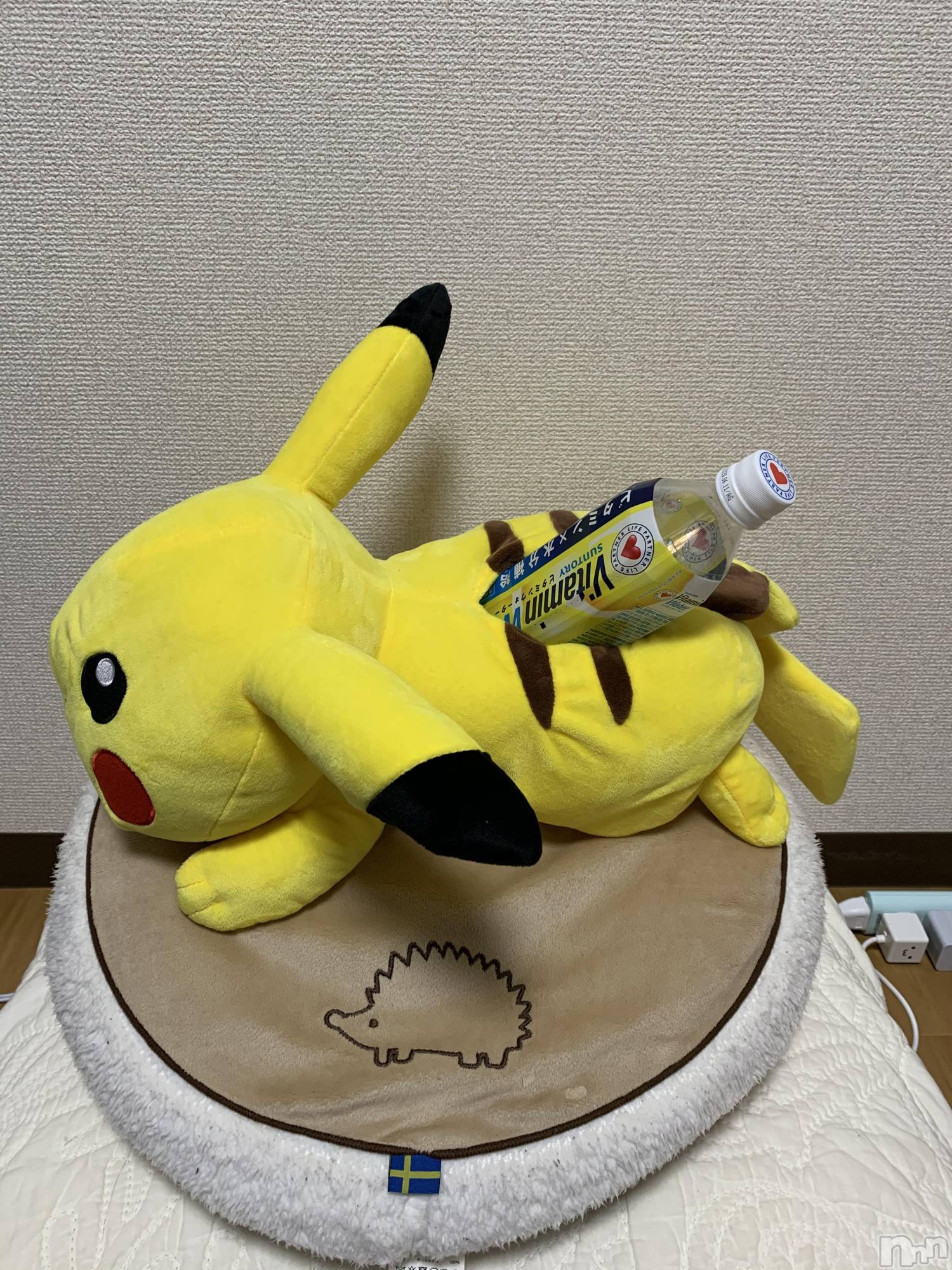 ��Į�ۥ��ȡ��ܡ������С�A151(�����������ݥ���) ��2020ǯ1��21���̥�֥����ֺǶ��