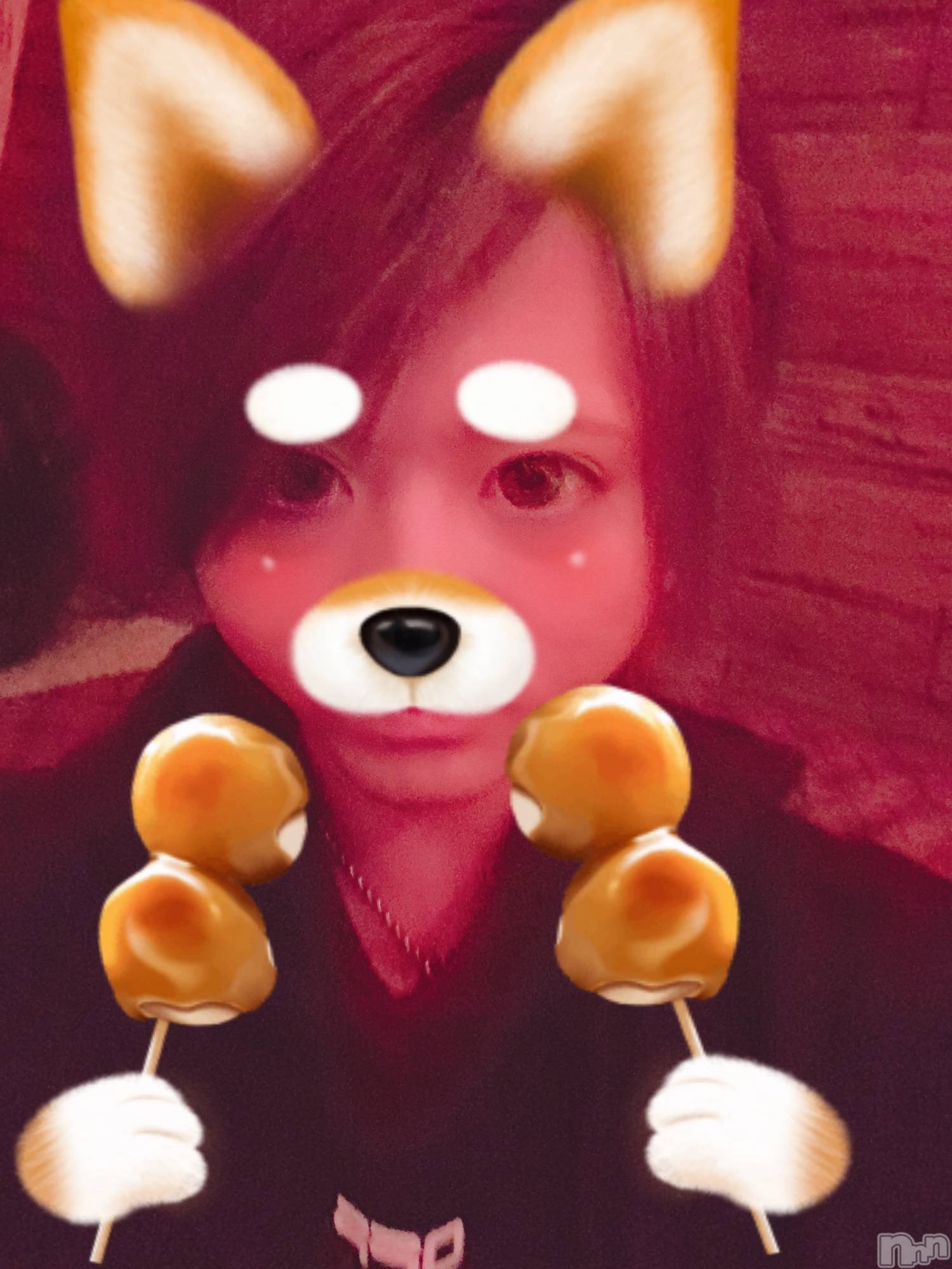 ��Į�ۥ��ȡ��ܡ������С�A151(�����������ݥ���) ��2020ǯ2��5���̥�֥����֡���