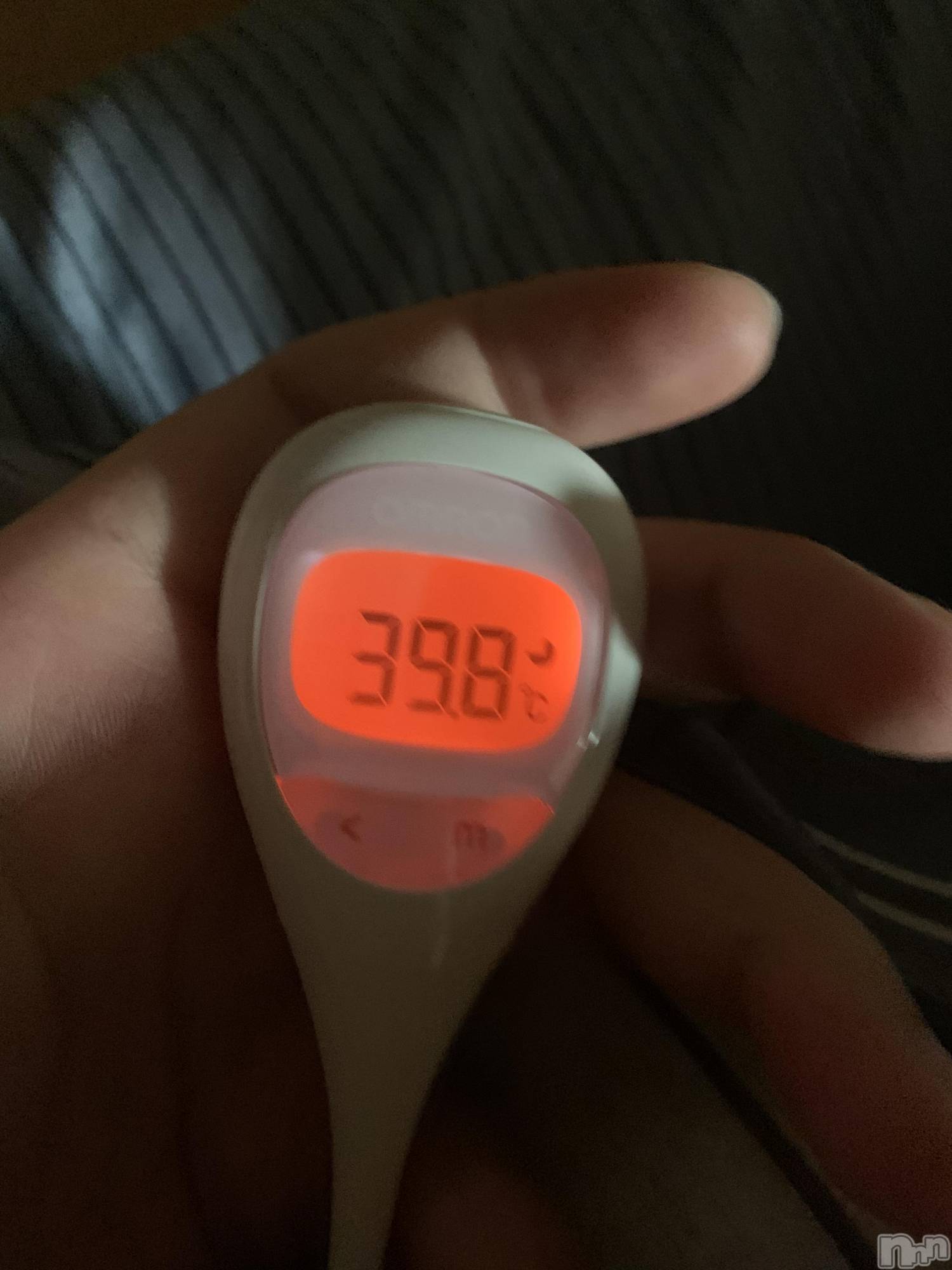 ��Į�ۥ��ȡ��ܡ������С�A151(�����������ݥ���) ��2021ǯ7��25���̥�֥����֥����ʥ說����2���ܡ�