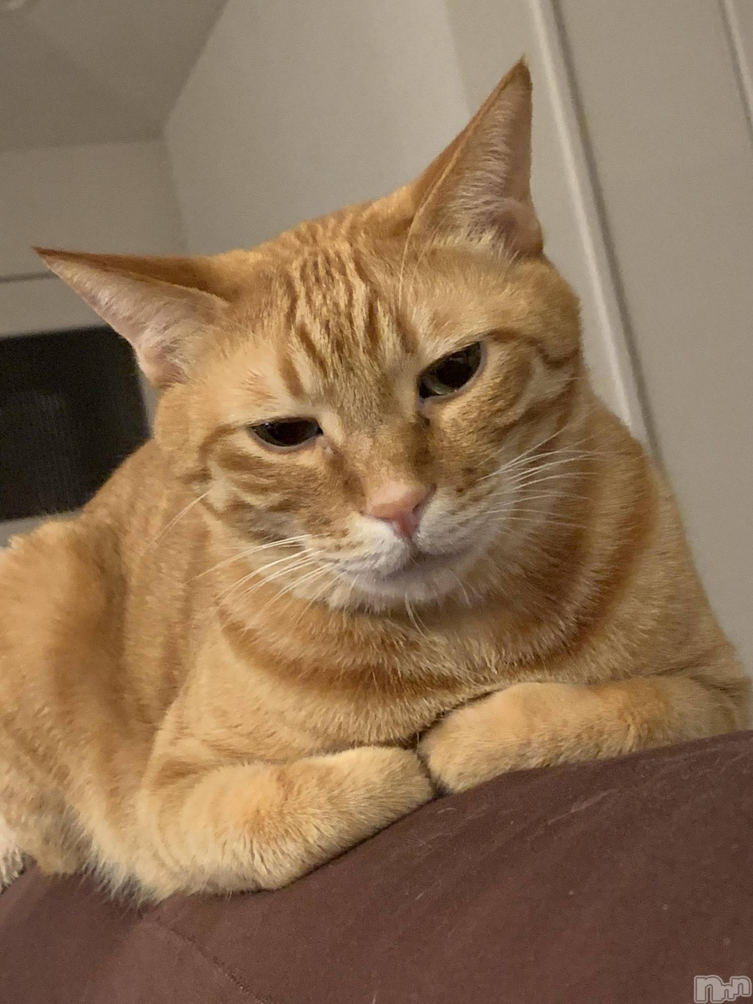 ��Į�ۥ��ȡ��ܡ������С�A151(�����������ݥ���) ��2021ǯ12��29���̥�֥����֤ȤƤĤ�ʤ���