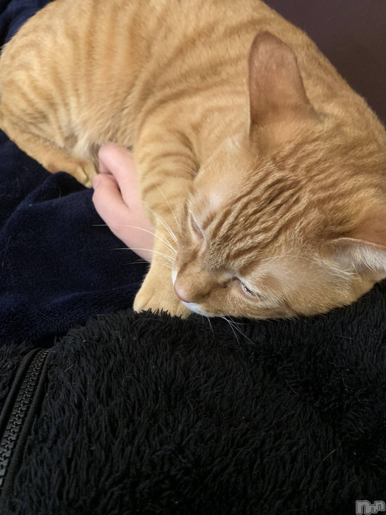 ��Į�ۥ��ȡ��ܡ������С�A151(�����������ݥ���) ��2021ǯ12��30���̥�֥����֤ޤ�ǭ��