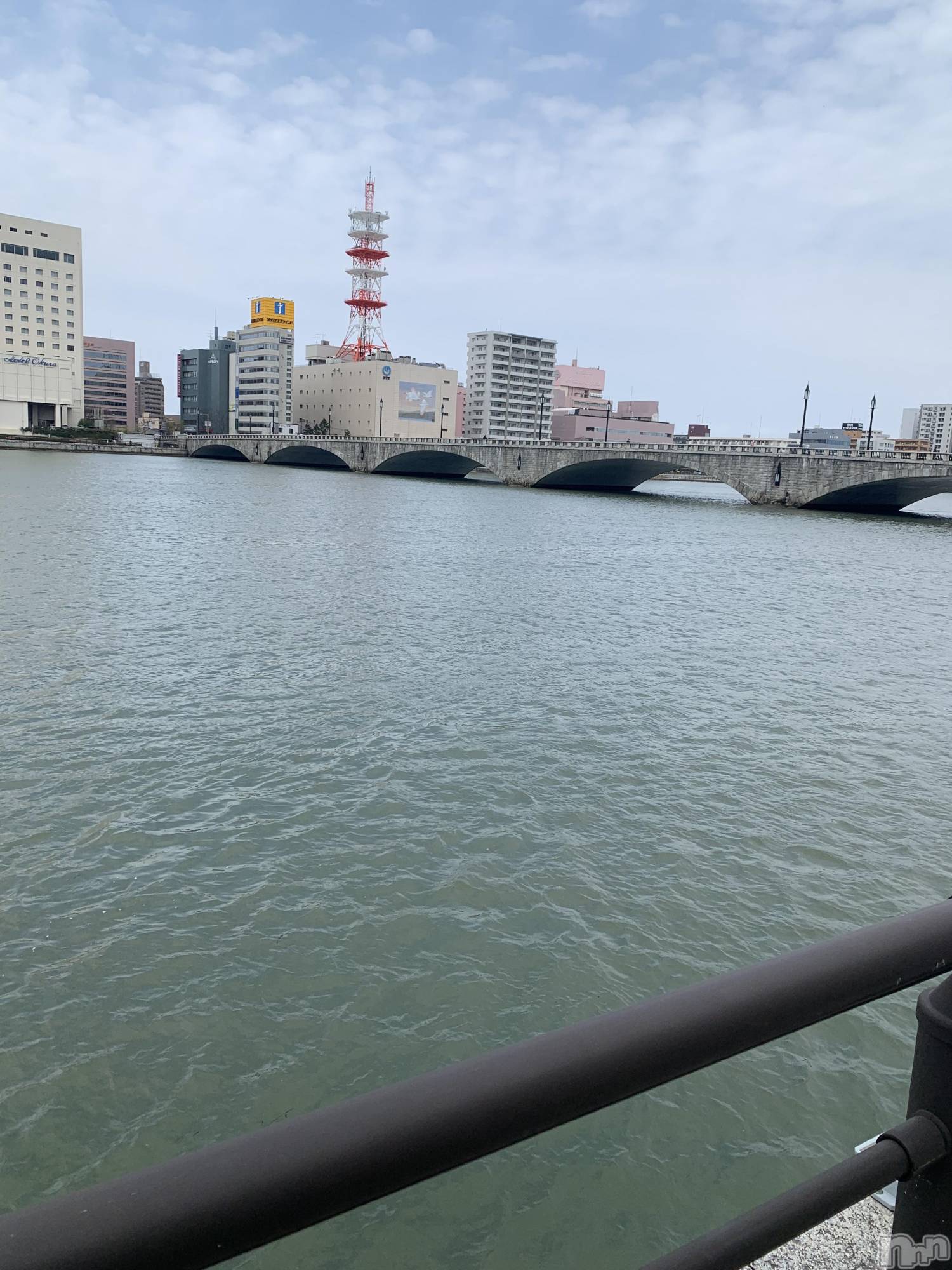 ��Į�ۥ��ȡ��ܡ������С�A151(�����������ݥ���) ��2022ǯ4��6���̥�֥���������ǡ��ȡ�