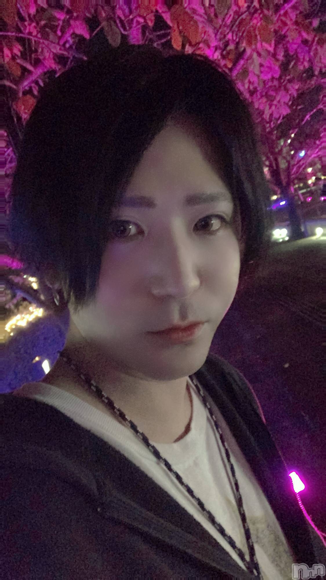 ��Į�ۥ��ȡ��ܡ������С�A151(�����������ݥ���) ��2022ǯ10��27���̥�֥����֤��������