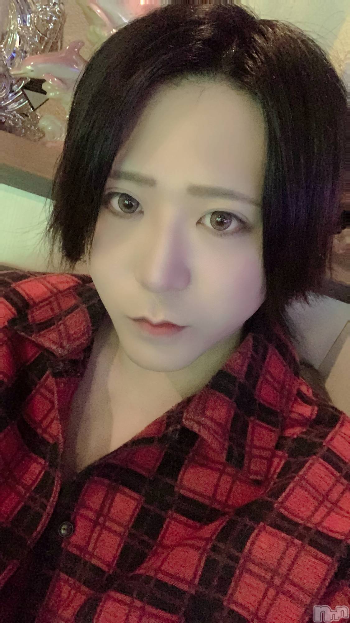 ��Į�ۥ��ȡ��ܡ������С�A151(�����������ݥ���) ��2023ǯ3��31���̥�֥����֥������塼��