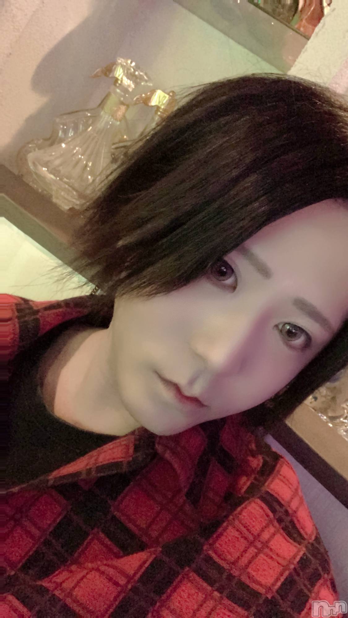 ��Į�ۥ��ȡ��ܡ������С�A151(�����������ݥ���) ��2023ǯ4��19���̥�֥������̡�