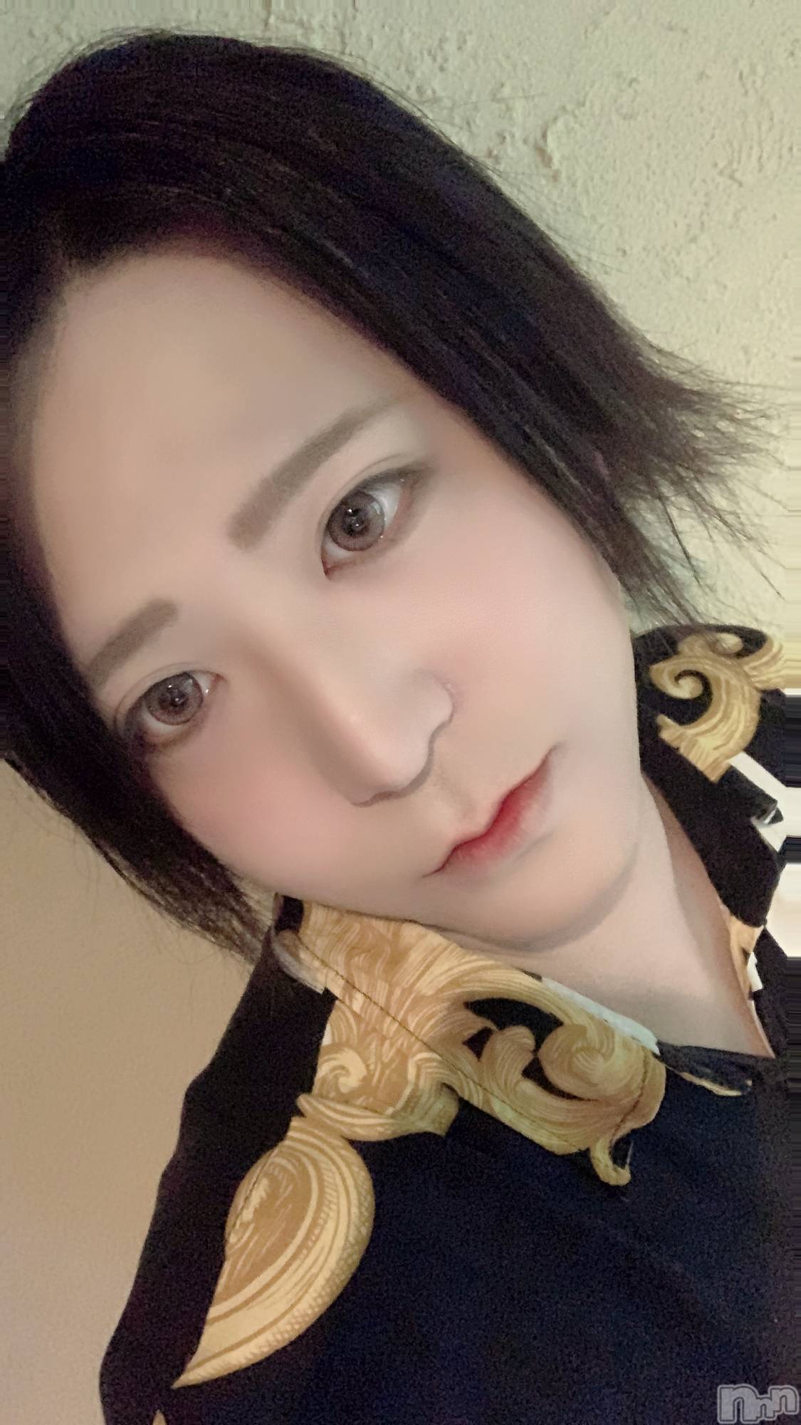 ��Į�ۥ��ȡ��ܡ������С�A151(�����������ݥ���) ��2023ǯ4��21���̥�֥����ֺ����ΰ����