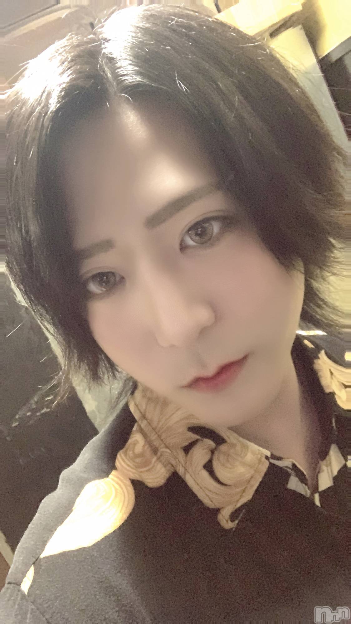 ��Į�ۥ��ȡ��ܡ������С�A151(�����������ݥ���) ��2023ǯ5��31���̥�֥����ֺǽ�����