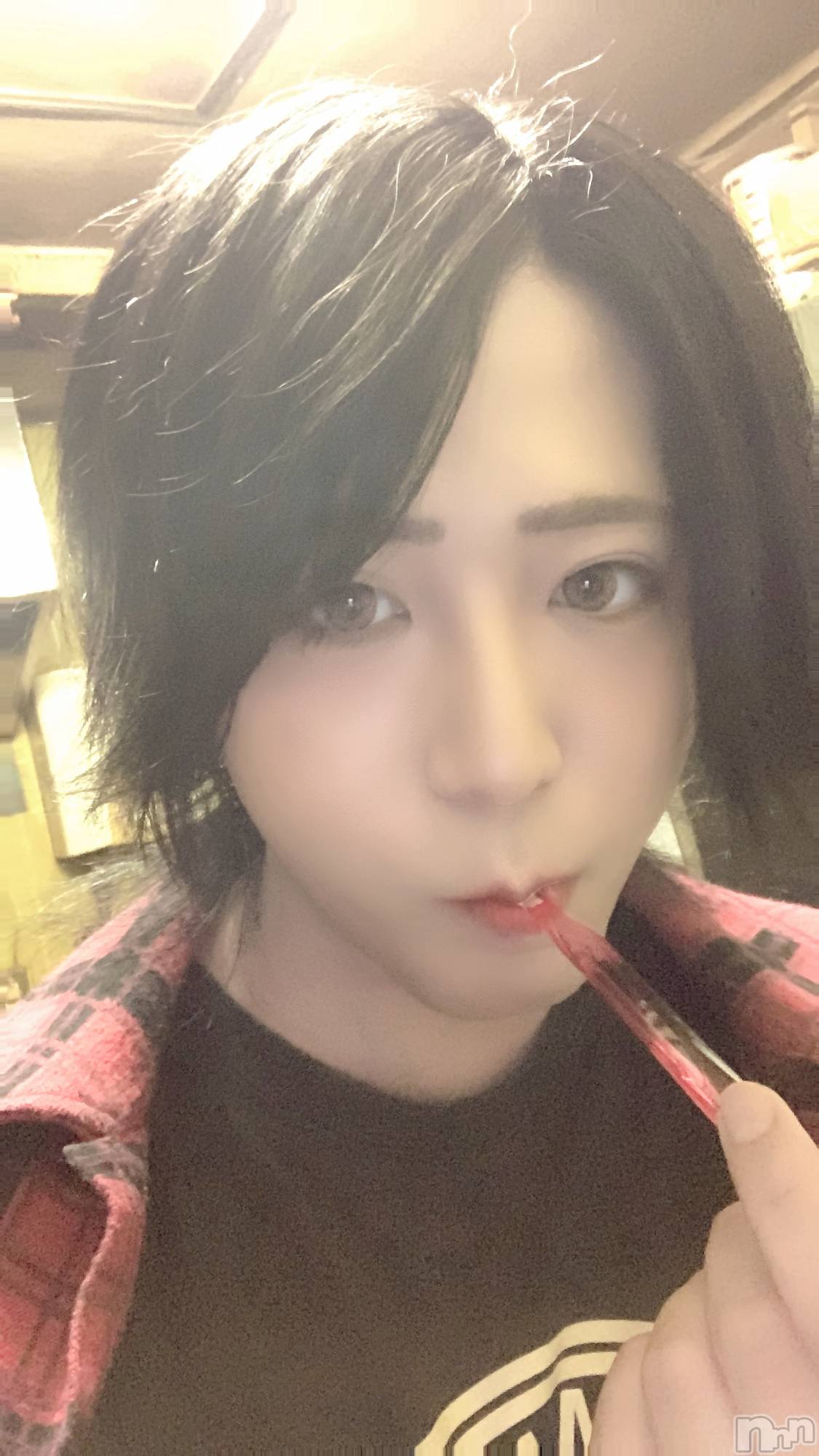 ��Į�ۥ��ȡ��ܡ������С�A151(�����������ݥ���) ��2023ǯ7��8���̥�֥�����������������