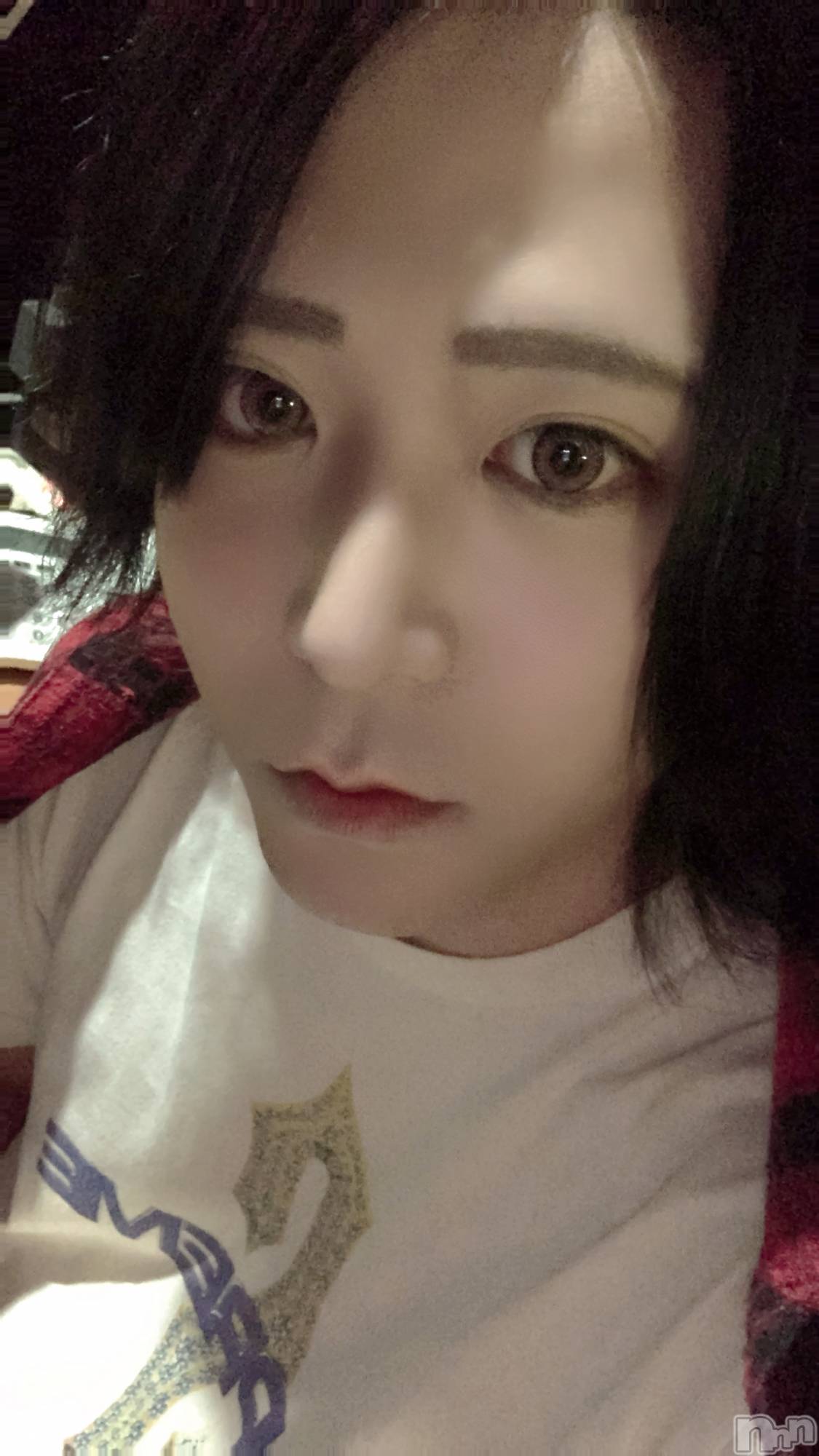 ��Į�ۥ��ȡ��ܡ������С�A151(�����������ݥ���) ��2023ǯ7��19���̥�֥����ָ�����