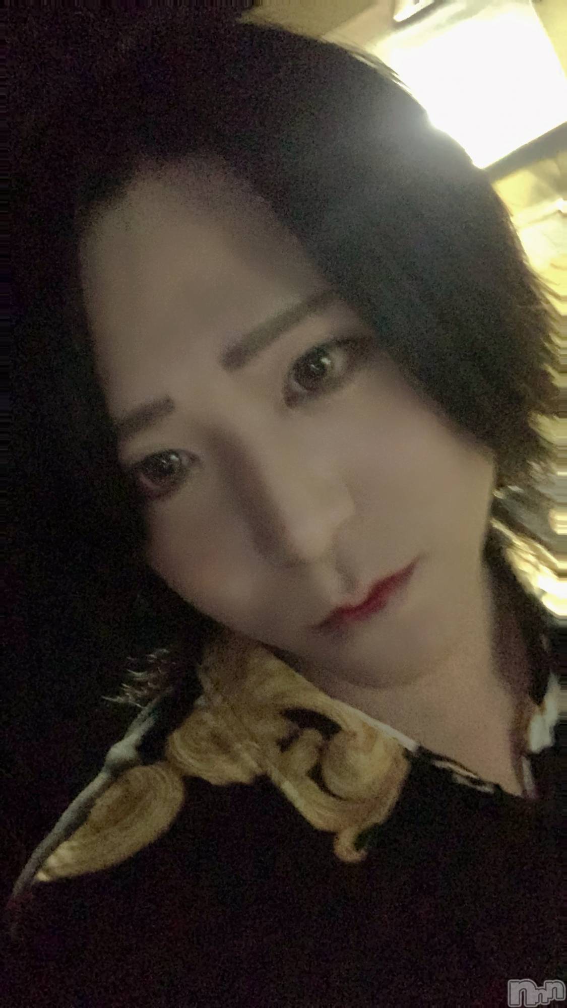 ��Į�ۥ��ȡ��ܡ������С�A151(�����������ݥ���) ��2023ǯ7��27���̥�֥������θ���Ź��