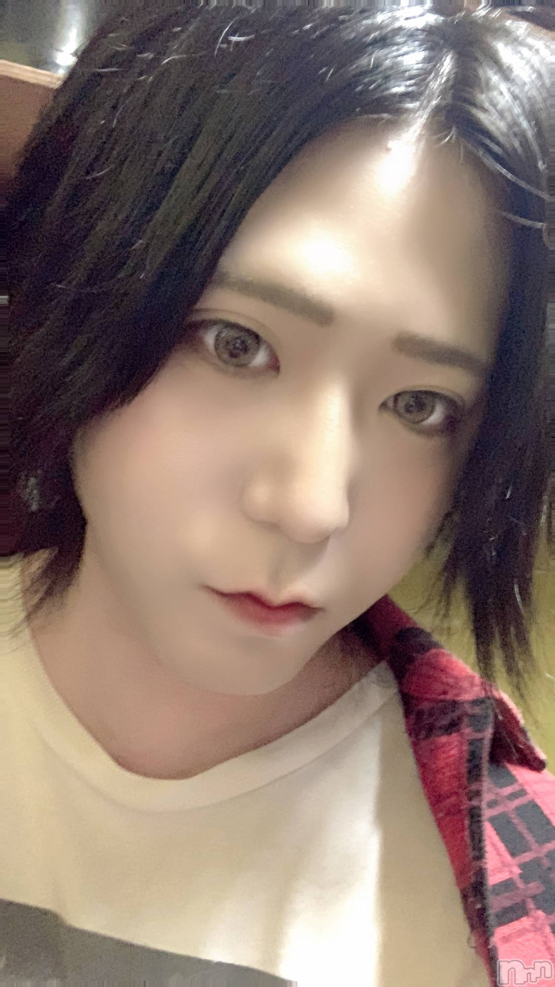 ��Į�ۥ��ȡ��ܡ������С�A151(�����������ݥ���) ��2023ǯ7��31���̥�֥����ֺǸ��