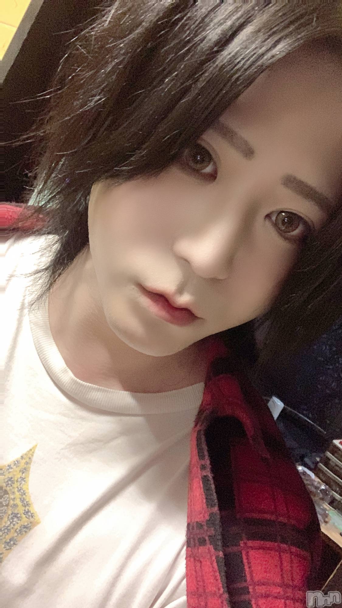 ��Į�ۥ��ȡ��ܡ������С�A151(�����������ݥ���) ��2023ǯ8��16���̥�֥����֥ͥ����