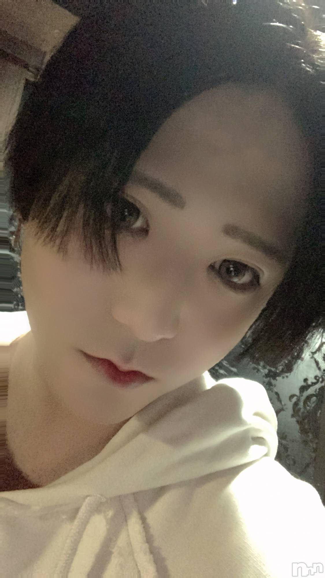 ��Į�ۥ��ȡ��ܡ������С�A151(�����������ݥ���) ��2023ǯ10��12���̥�֥����֤�����