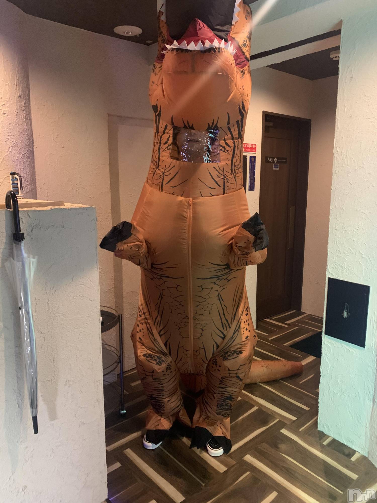 ��Į�ۥ��ȡ��ܡ������С�A151(�����������ݥ���) ��2023ǯ10��30���̥�֥�������1�ơ���