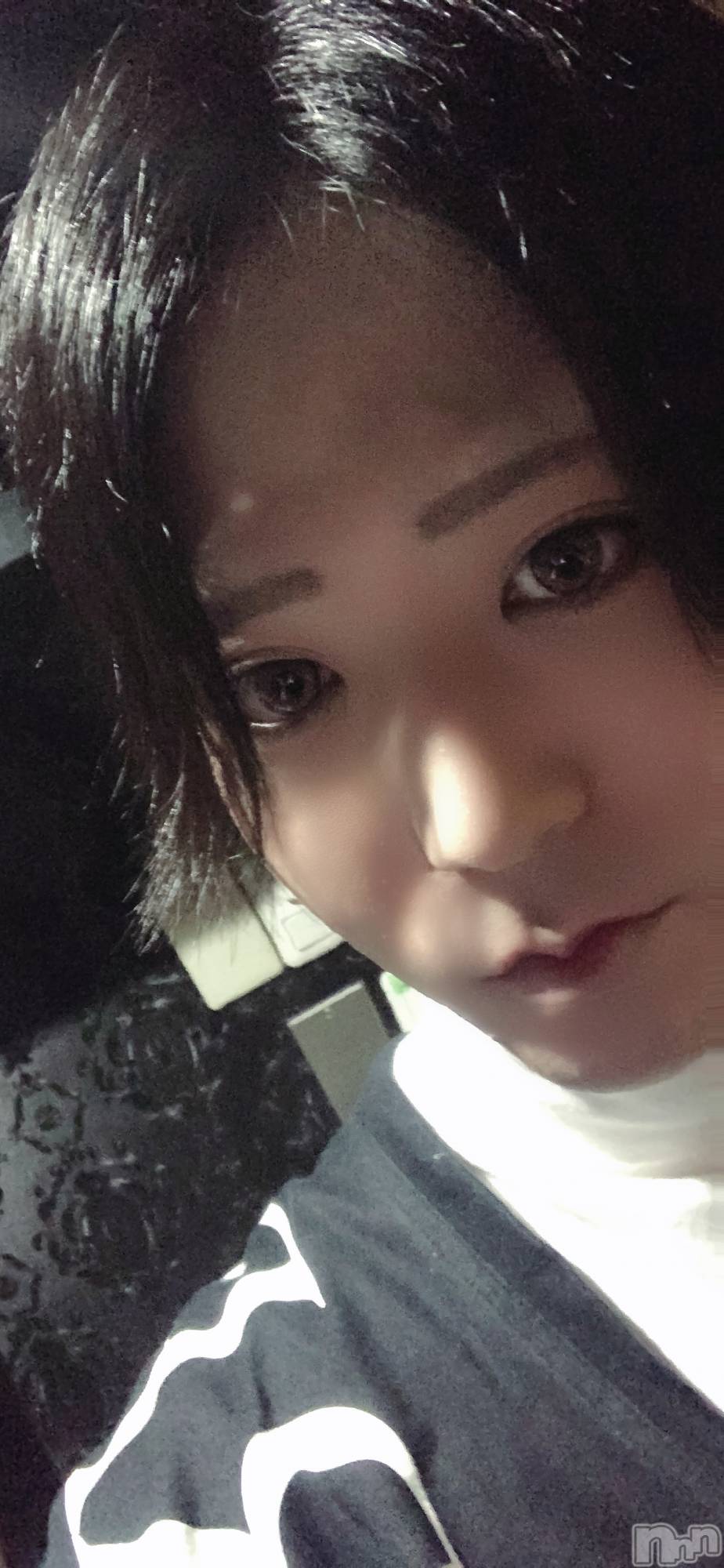 ��Į�ۥ��ȡ��ܡ������С�A151(�����������ݥ���) ��2023ǯ11��8���̥�֥����ָ���