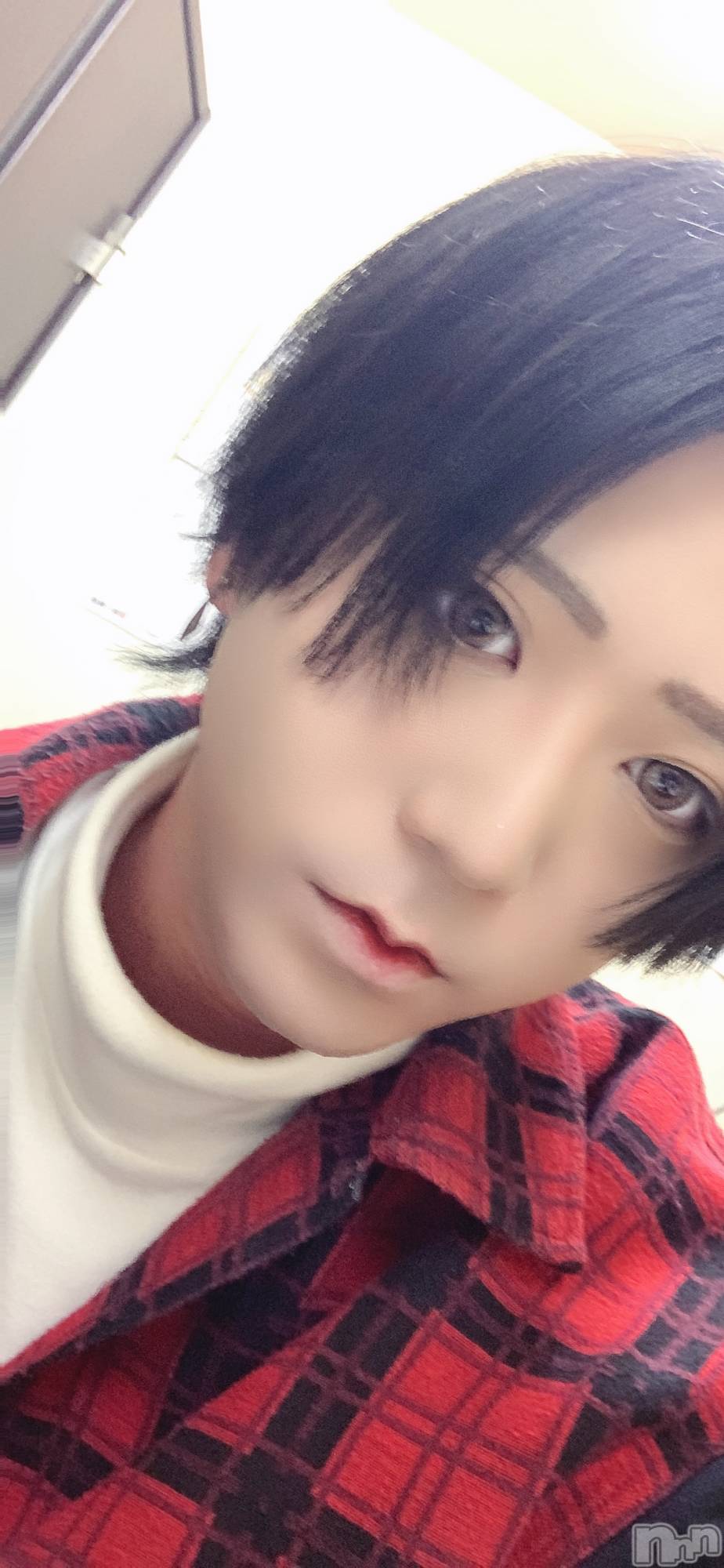 ��Į�ۥ��ȡ��ܡ������С�A151(�����������ݥ���) ��2023ǯ12��2���̥�֥����ֺ���κŤ�ʪ��