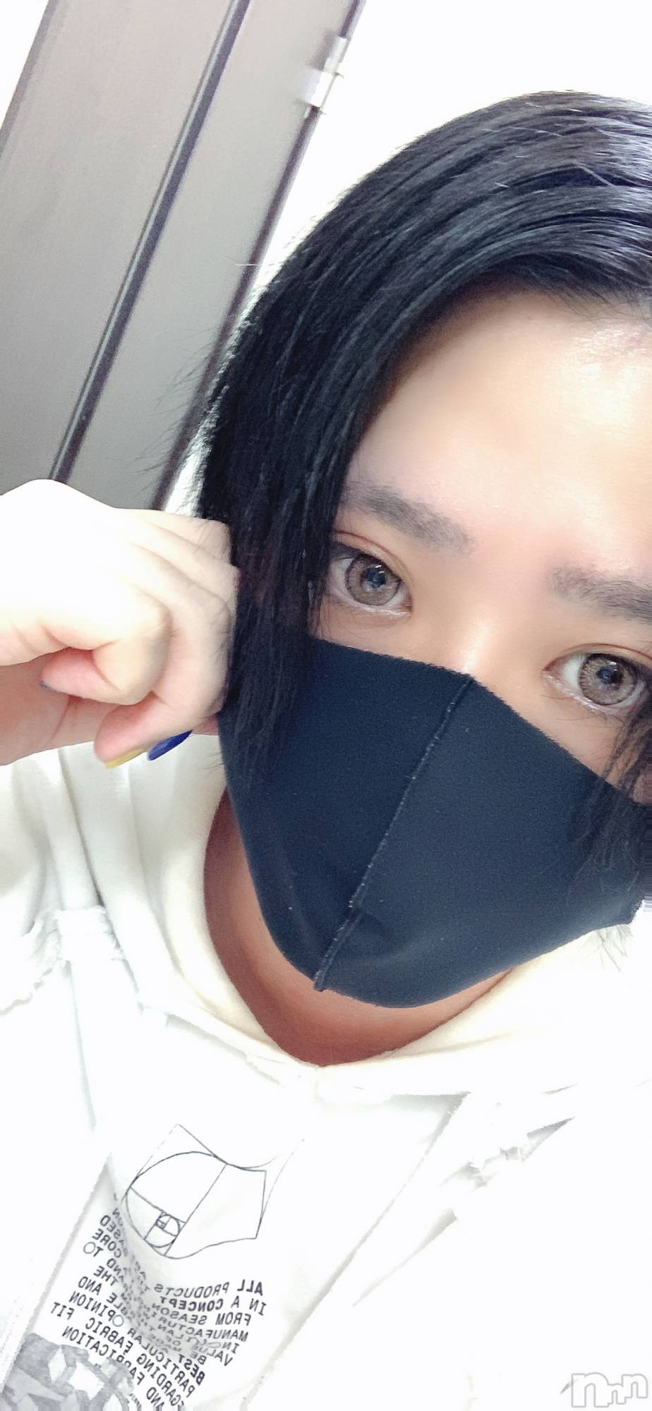 ��Į�ۥ��ȡ��ܡ������С�A151(�����������ݥ���) ��2024ǯ1��24���̥�֥���������郎��������