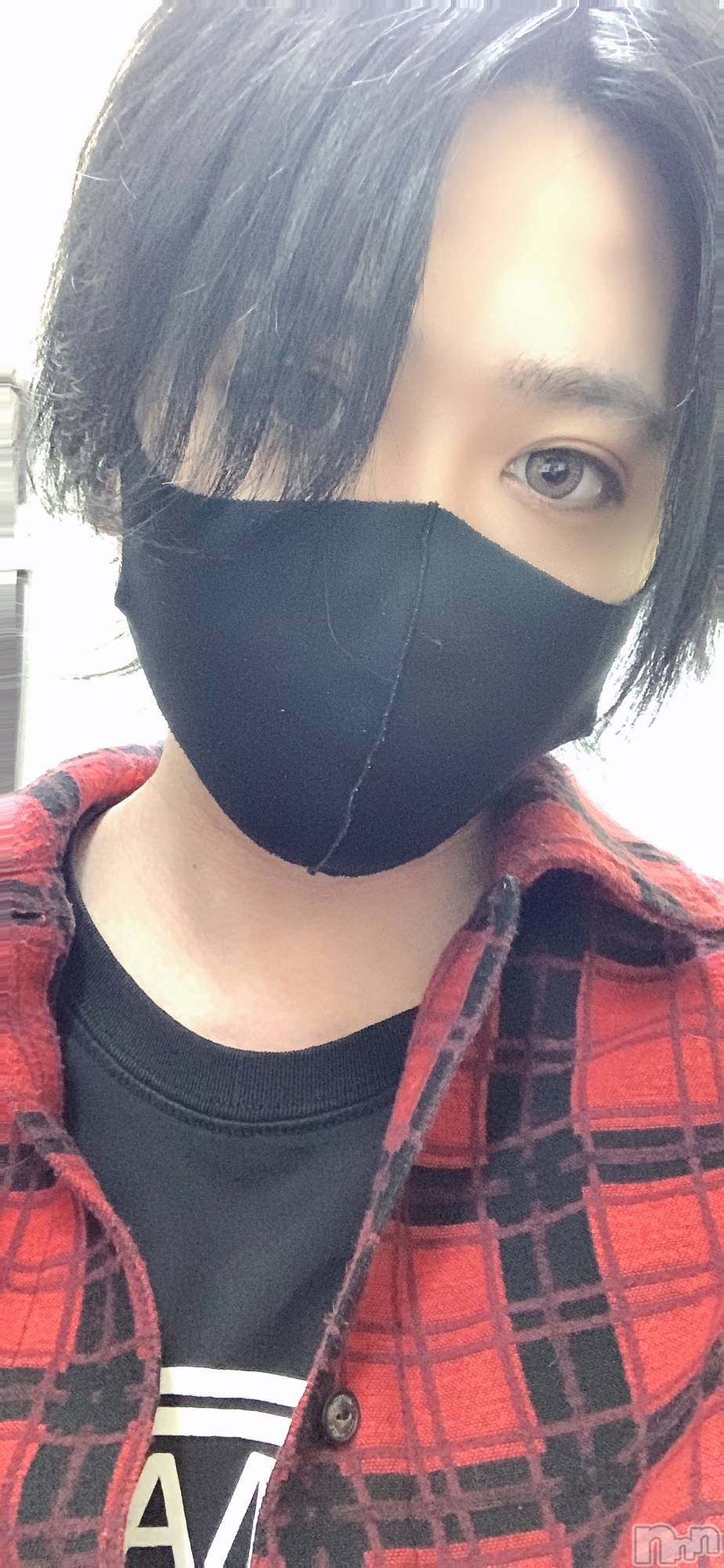 ��Į�ۥ��ȡ��ܡ������С�A151(�����������ݥ���) ��2024ǯ1��31���̥�֥��������������