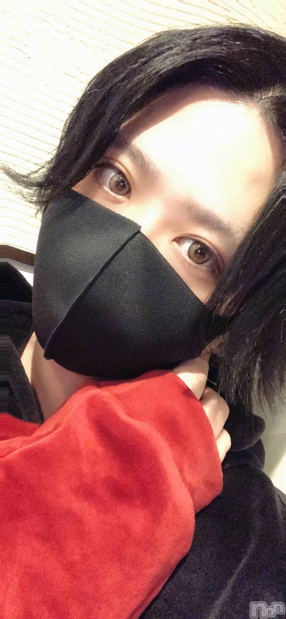 ��Į�ۥ��ȡ��ܡ������С�A151(�����������ݥ���) ��2024ǯ2��24���̥�֥����֤��Ρ�