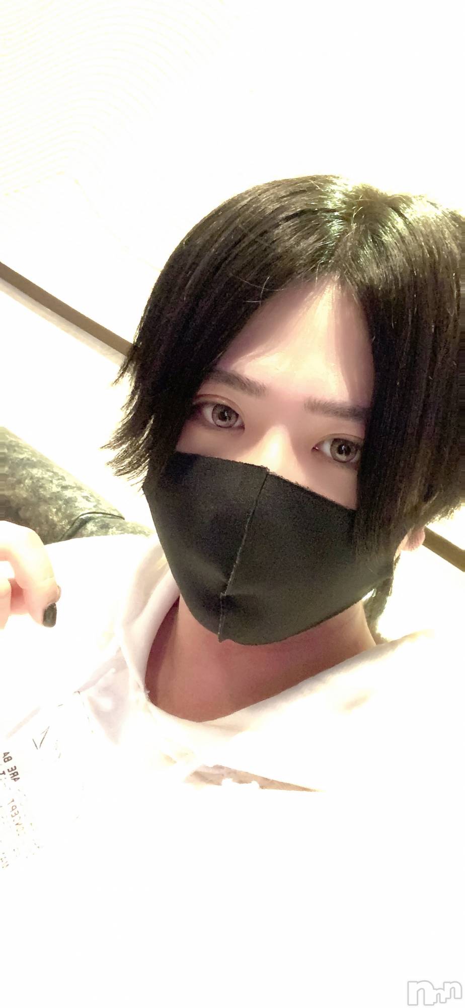 ��Į�ۥ��ȡ��ܡ������С�A151(�����������ݥ���) ��2024ǯ4��7���̥�֥����ֻŻ���