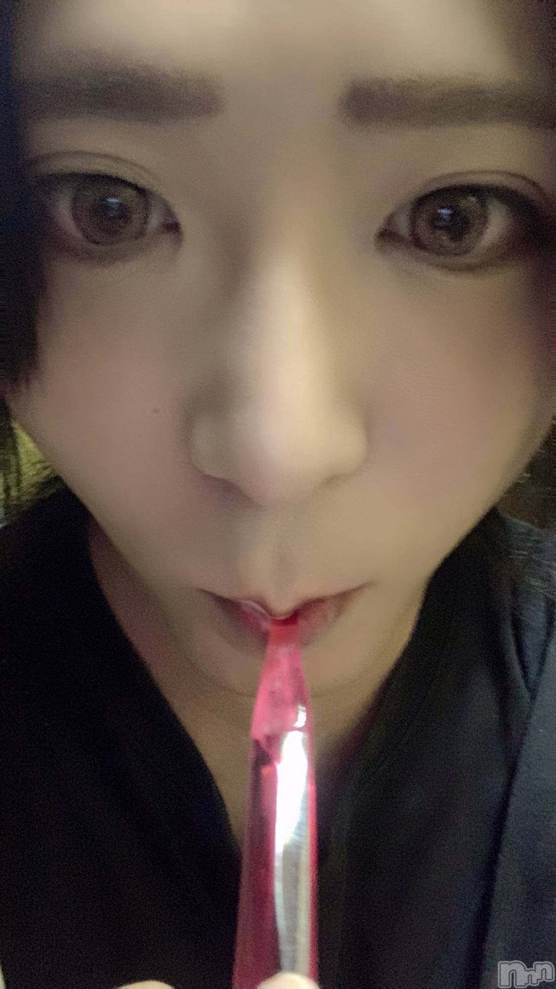 ��Į�ۥ��ȡ��ܡ������С�A151(�����������ݥ���) ��2024ǯ6��21���̥�֥������äˤʤ���