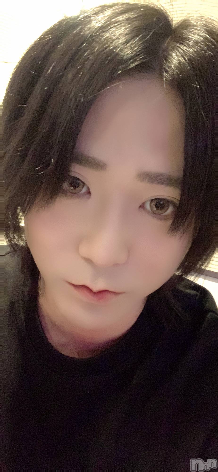 ��Į�ۥ��ȡ��ܡ������С�A151(�����������ݥ���) ��2024ǯ7��5���̥�֥���������������������