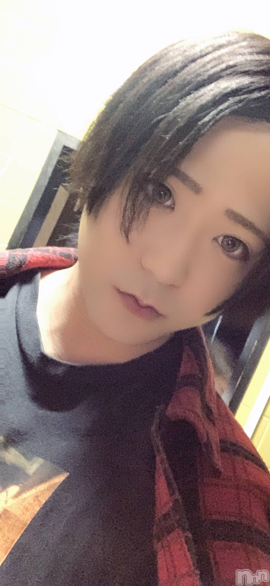 ��Į�ۥ��ȡ��ܡ������С�A151(�����������ݥ���) ��2024ǯ8��3���̥�֥����֤ա��ġ���