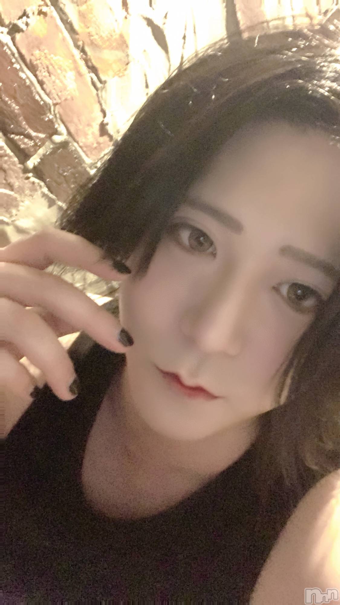 ��Į�ۥ��ȡ��ܡ������С�A151(�����������ݥ���) ��2024ǯ8��31���̥�֥����֡���