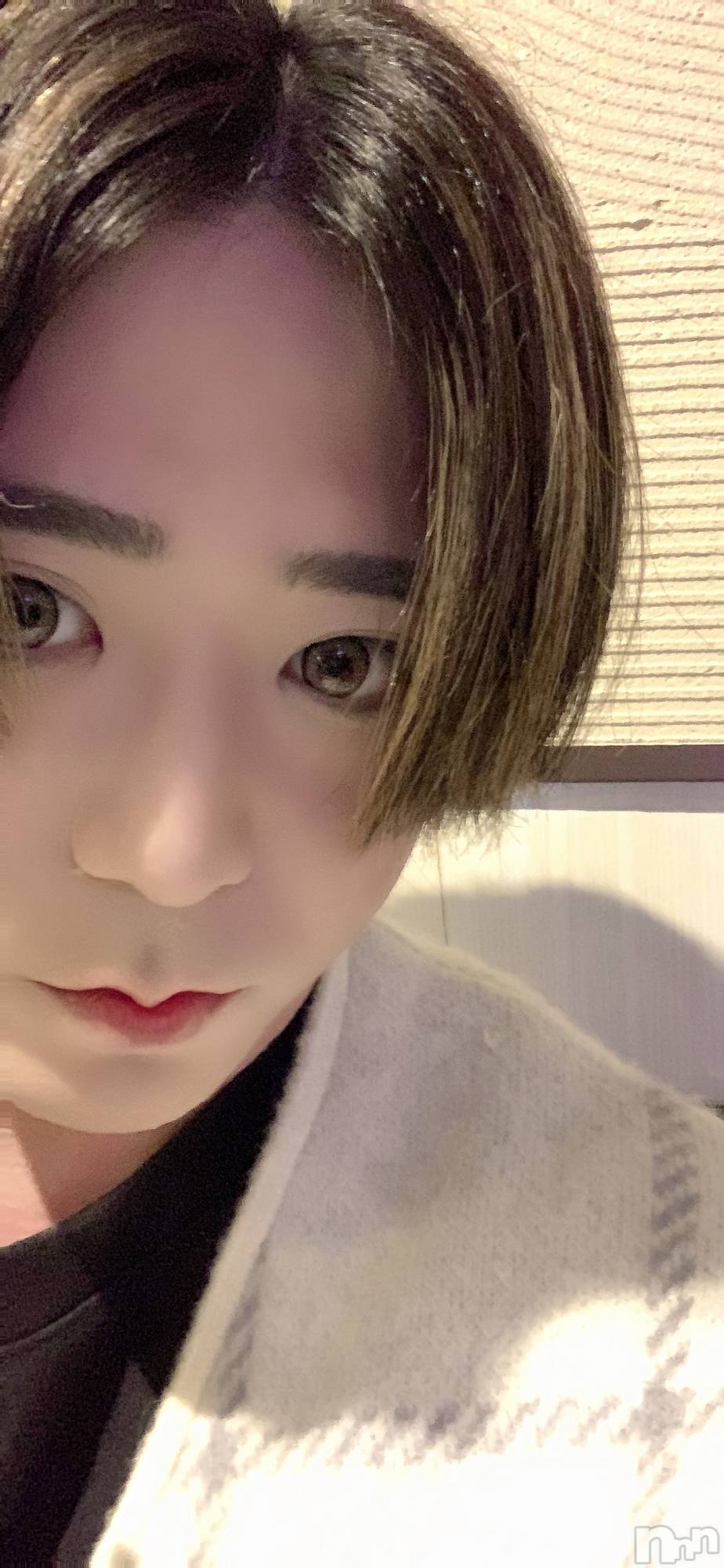 ��Į�ۥ��ȡ��ܡ������С�A151(�����������ݥ���) ��2024ǯ12��21���̥�֥����֤����ä���