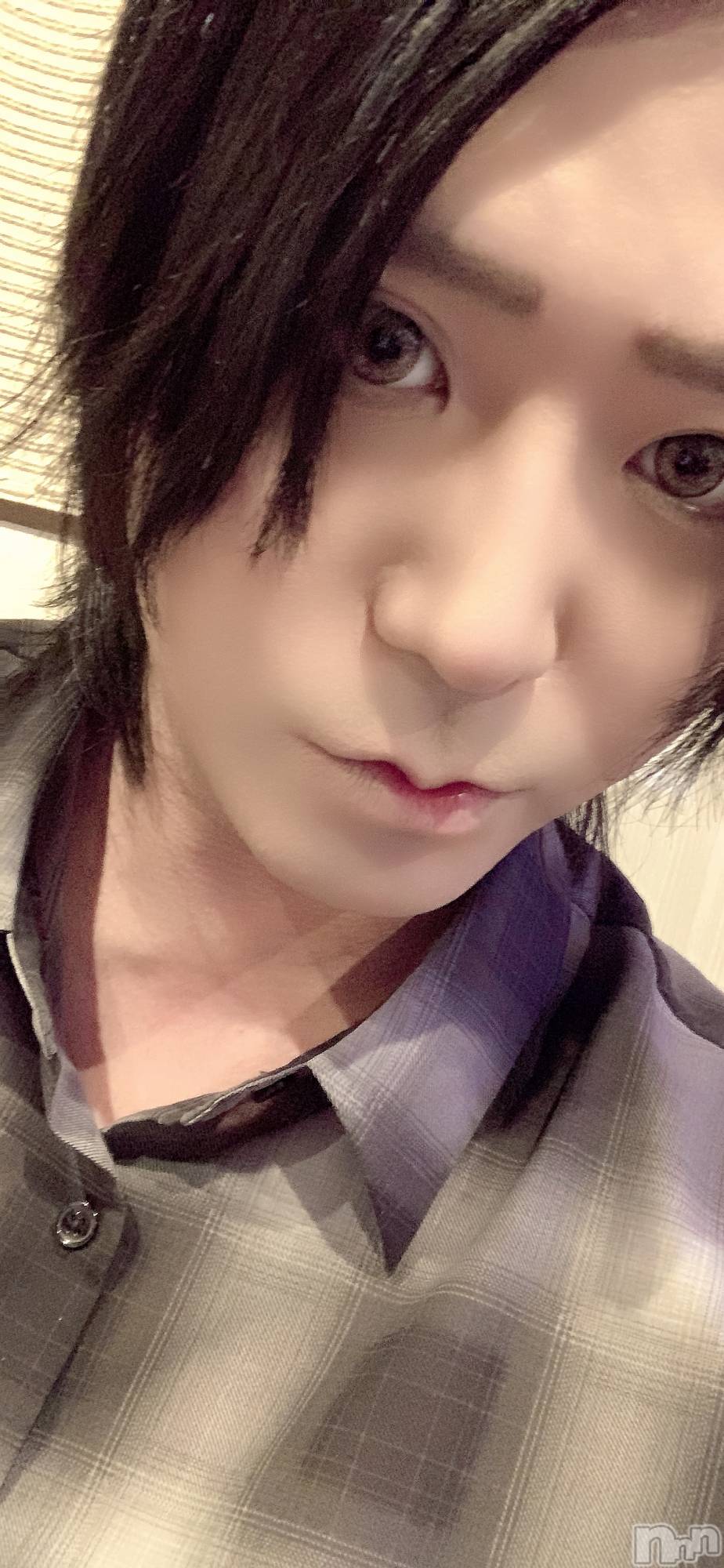 ��Į�ۥ��ȡ��ܡ������С�A151(�����������ݥ���) ��2024ǯ12��27���̥�֥����ֽ����ǡ�����