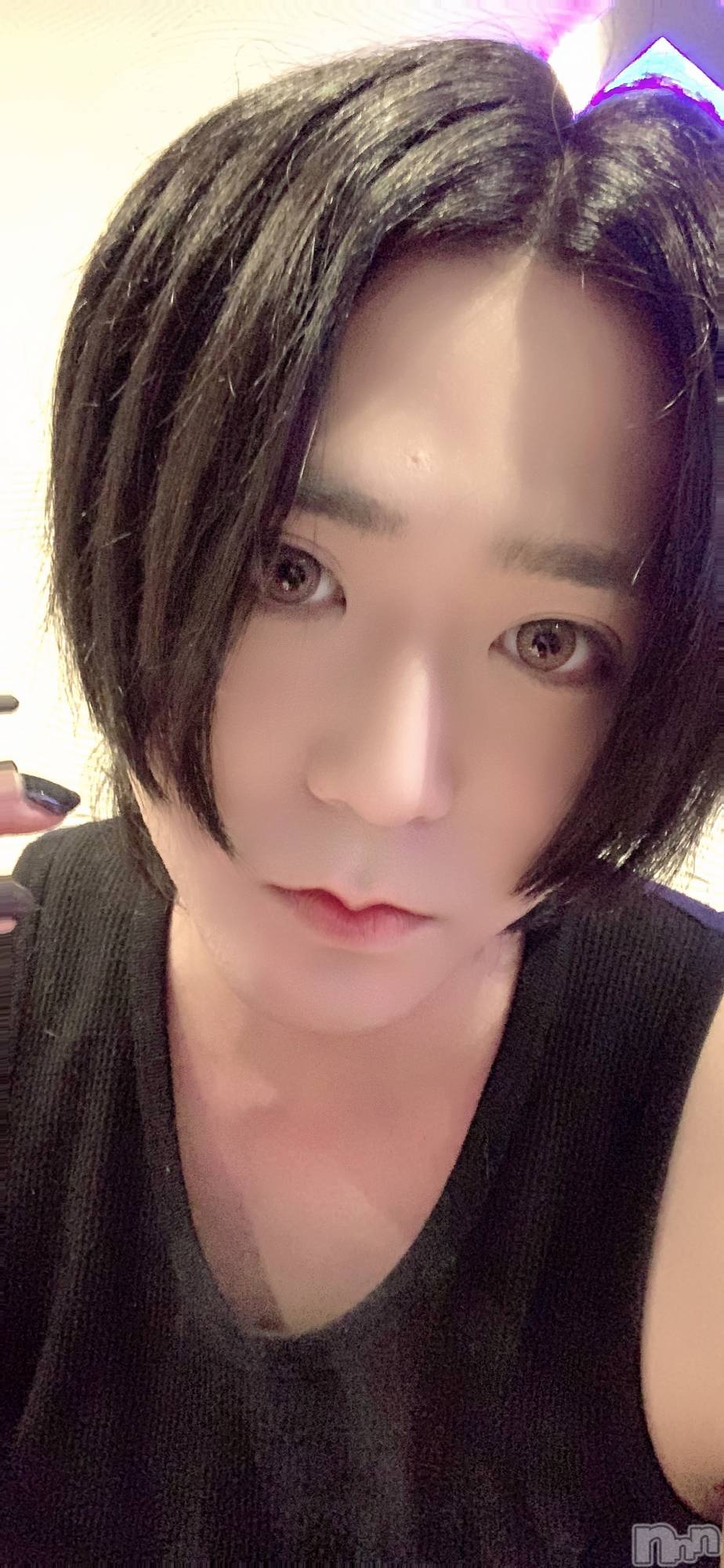 ��Į�ۥ��ȡ��ܡ������С�A151(�����������ݥ���) ��2025ǯ4��19���̥�֥����֤����