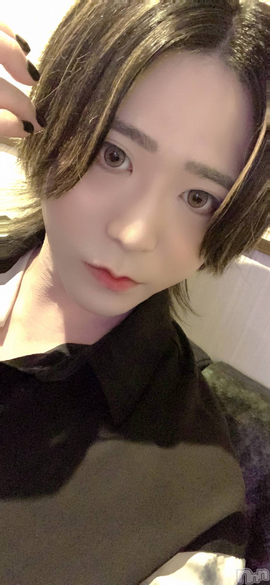 ��Į�ۥ��ȡ��ܡ������С�A151(�����������ݥ���) ��2025ǯ7��12���̥�֥����֤ɤ�����