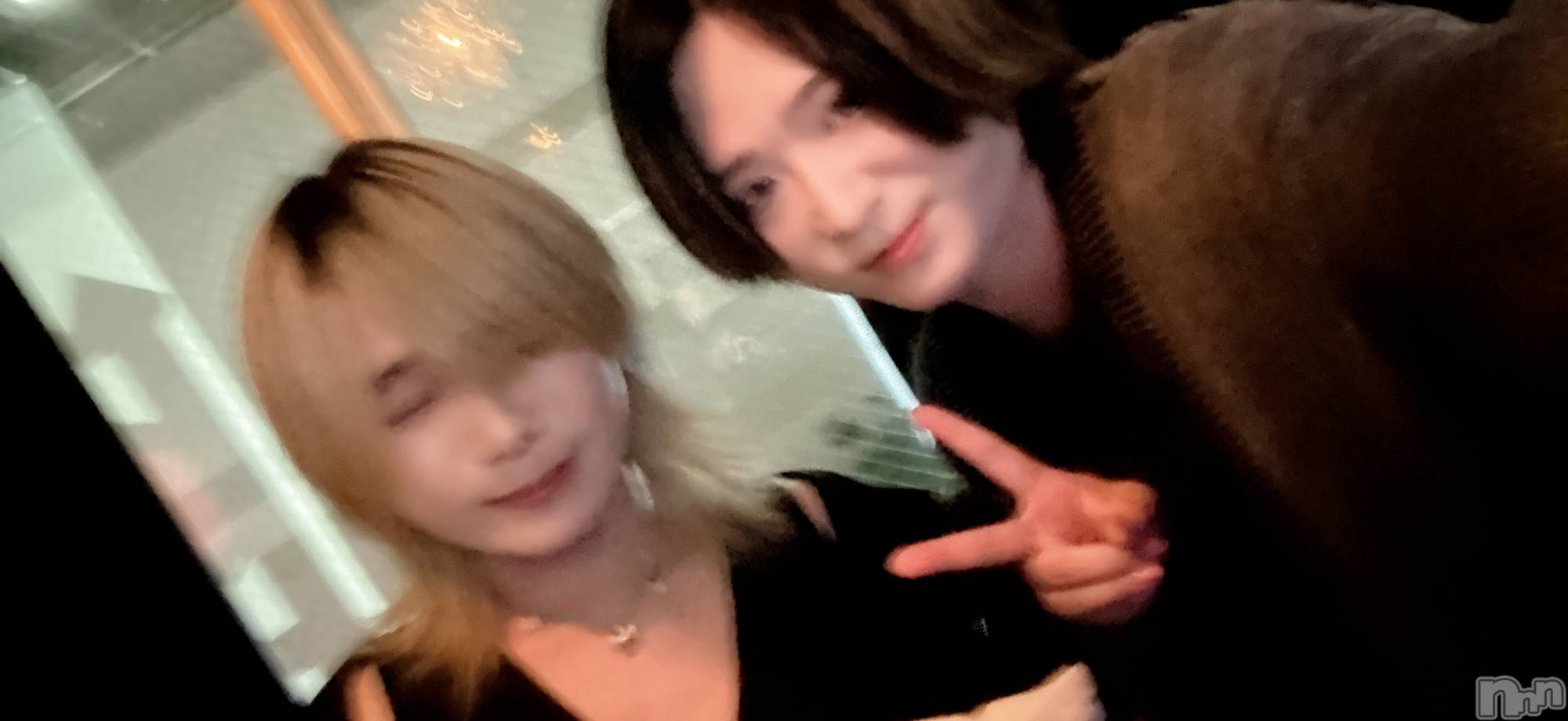 ��Į�ۥ��ȡ��ܡ������С�A151(�����������ݥ���) ��2025ǯ8��16���̥�֥����֥֥��