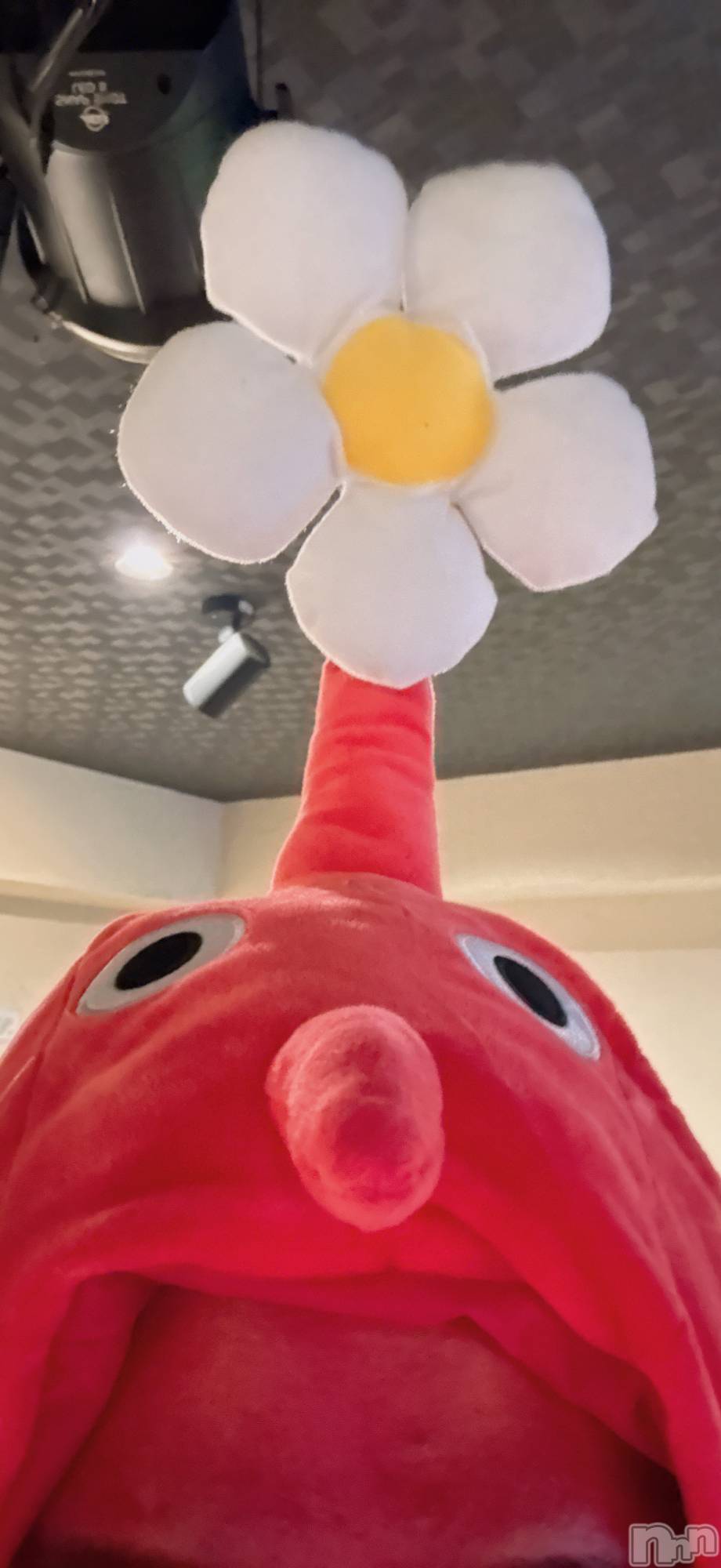 ��Į�ۥ��ȡ��ܡ������С�A151(�����������ݥ���) ��2025ǯ10��31���̥�֥����֤��Ϥʡ�