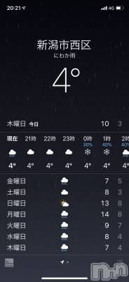 ��Į�ۥ��ȡ��ܡ������С�A151(�����������ݥ���) �������(30)��11��28���̥�֥����֤Ĥ��ˤ��λ���...��