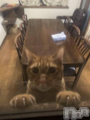 ��Į�ۥ��ȡ��ܡ������С�A151(�����������ݥ���) �������(30)��12��22���̥�֥����֤���ˤ��ϡ�