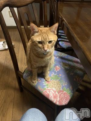 ��Į�ۥ��ȡ��ܡ������С�A151(�����������ݥ���) �������(30)��12��23���̥�֥����֥��ꥹ�ޥ����٥��(����)��