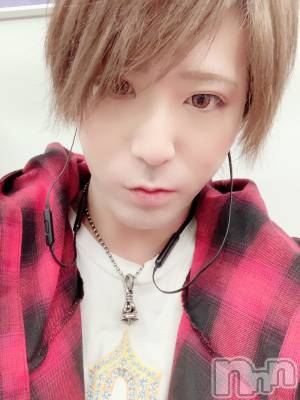 ��Į�ۥ��ȡ��ܡ������С�A151(�����������ݥ���) �������(30)��1��14���̥�֥����֤�&nbsp;��&nbsp;��&nbsp;��&nbsp;��&nbsp;��&nbsp;��&nbsp;�ס�