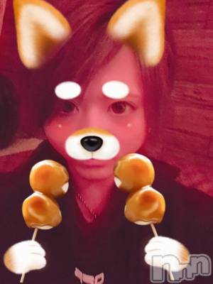 ��Į�ۥ��ȡ��ܡ������С�A151(�����������ݥ���) �������(30)��2��5���̥�֥����֡���