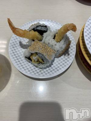 ��Į�ۥ��ȡ��ܡ������С�A151(�����������ݥ���) �������(30)��2��6���̥�֥����֡���