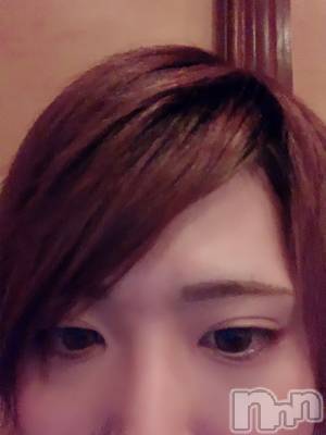 ��Į�ۥ��ȡ��ܡ������С�A151(�����������ݥ���) �������(30)��2��10���̥�֥����֡���