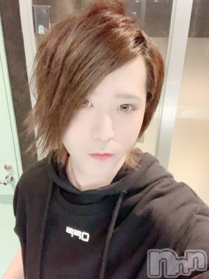 ��Į�ۥ��ȡ��ܡ������С�A151(�����������ݥ���) �������(30)��6��6���̥�֥����ֵ�ʬ��