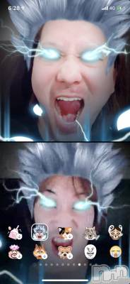 ��Į�ۥ��ȡ��ܡ������С�A151(�����������ݥ���) �������(30)��6��10���̥�֥����֤䤯������