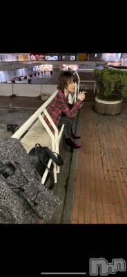 ��Į�ۥ��ȡ��ܡ������С�A151(�����������ݥ���) �������(30)��8��9���̥�֥����֤ʤ����졼����������(������)��