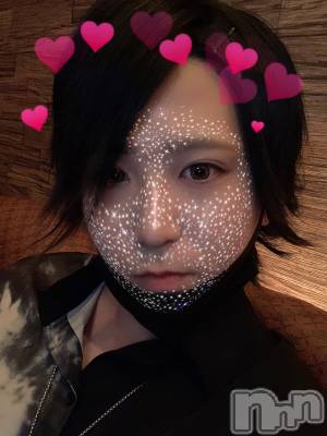 ��Į�ۥ��ȡ��ܡ������С�A151(�����������ݥ���) �������(30)��6��14���̥�֥����֤֤Ĥ֤ġ�