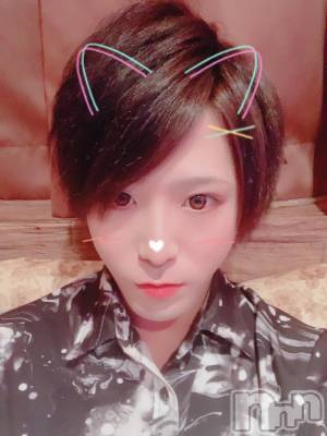 ��Į�ۥ��ȡ��ܡ������С�A151(�����������ݥ���) �������(30)��6��21���̥�֥����֤ؤ���